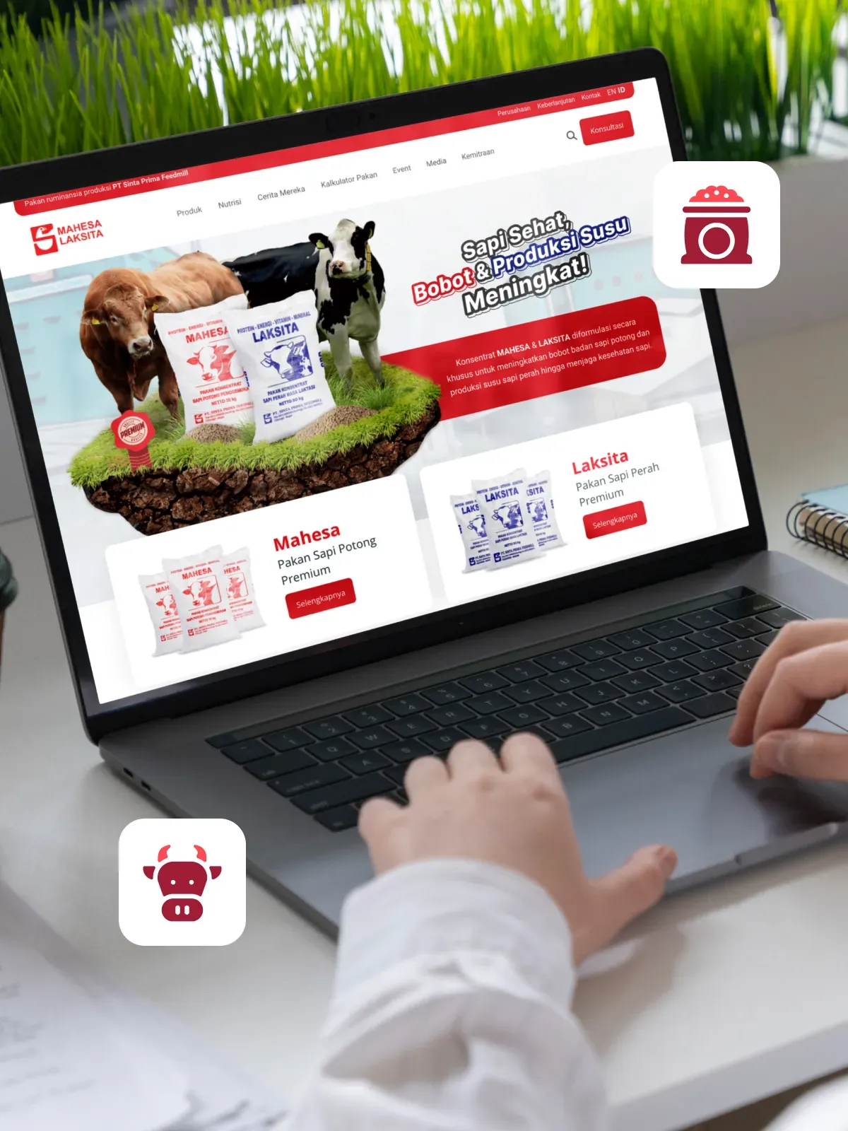 Website yang Dekat dengan Peternak & Mitra
